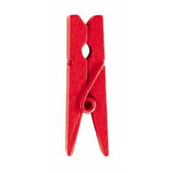 24 PINCES BOIS ROUGE 2.5cm