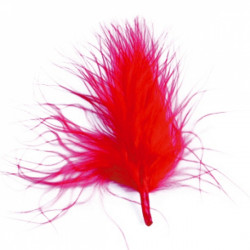 20 PLUMES ROUGE