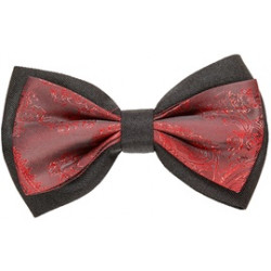 NOEUD PAPILLON VINTAGE...