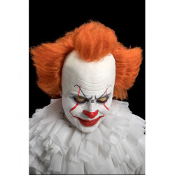 PERRUQUE AVEC CALOTTE CLOWN...