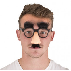LUNETTES AVEC FAUX NEZ ET...