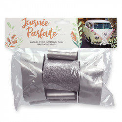 KIT DECO VOITURE ARGENT