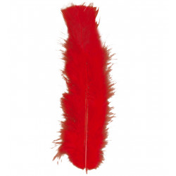 50 PLUMES ENV.10cm ROUGES
