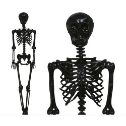 SQUELETTE DECO 160cm NOIR