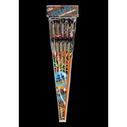 (F2-R) 10 FUSEES POWER PRO...