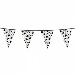 GUIRLANDE 15 FANIONS 6m...