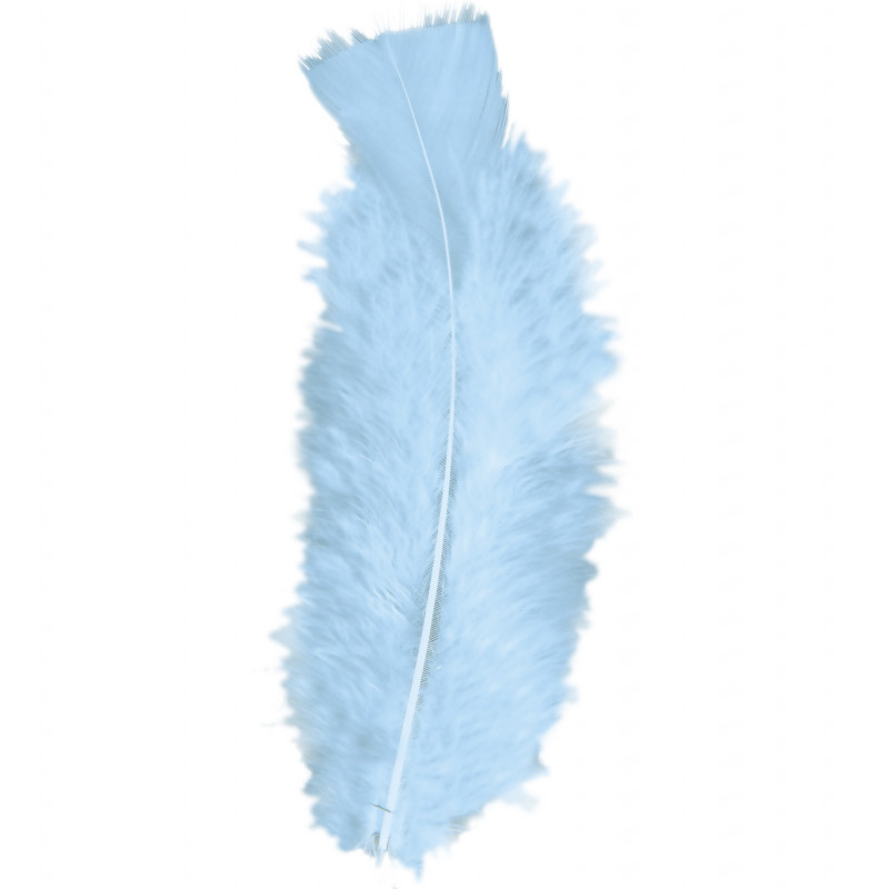Turquoise 6 cm 50 plumes coupées 