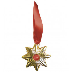 MEDAILLON DE VAMPIRE