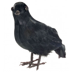 CORBEAU NOIR 22cm