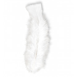 50 PLUMES ENV.10cm BLANCHES