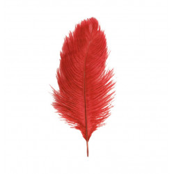 2 PLUMES AUTRUCHE 30-35cm...
