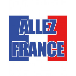 DRAPEAU ALLEZ FRANCE...