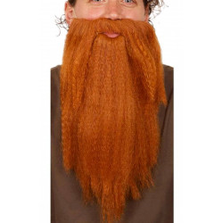 BARBE+MOUSTACHE ROUSSE