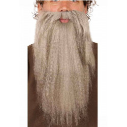 BARBE+MOUSTACHE GRISE